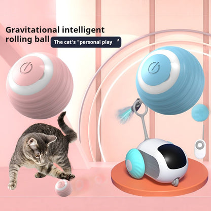 Cat Toy Accessories Interactive Ball