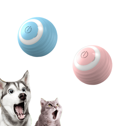 Cat Toy Accessories Interactive Ball